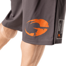 Pro Mesh Shorts, grey-Miesten shortsit-GASP-S-Aminopörssi